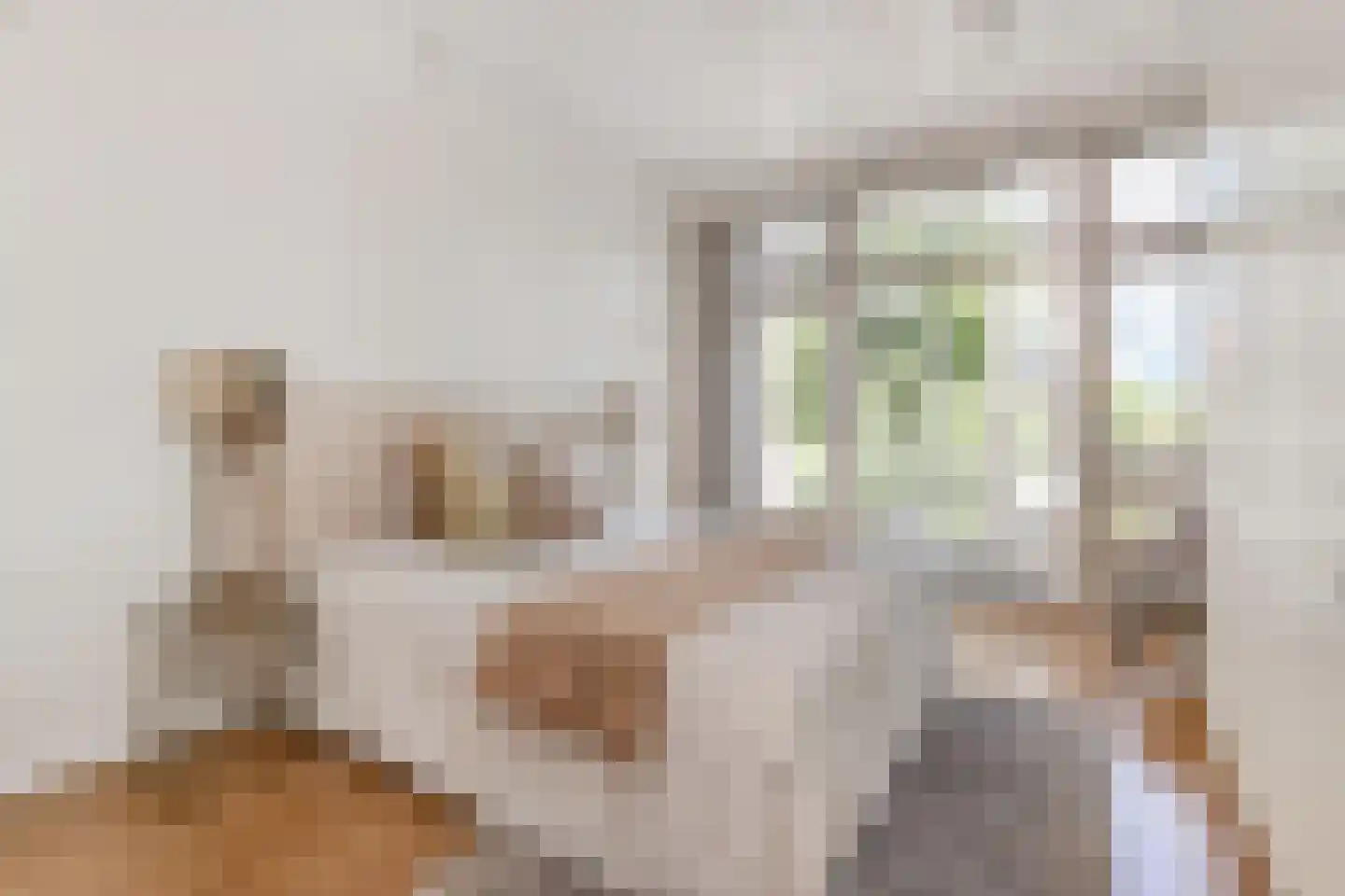 Laan van Meerdervoort 714 Den Haag thumbnail 40