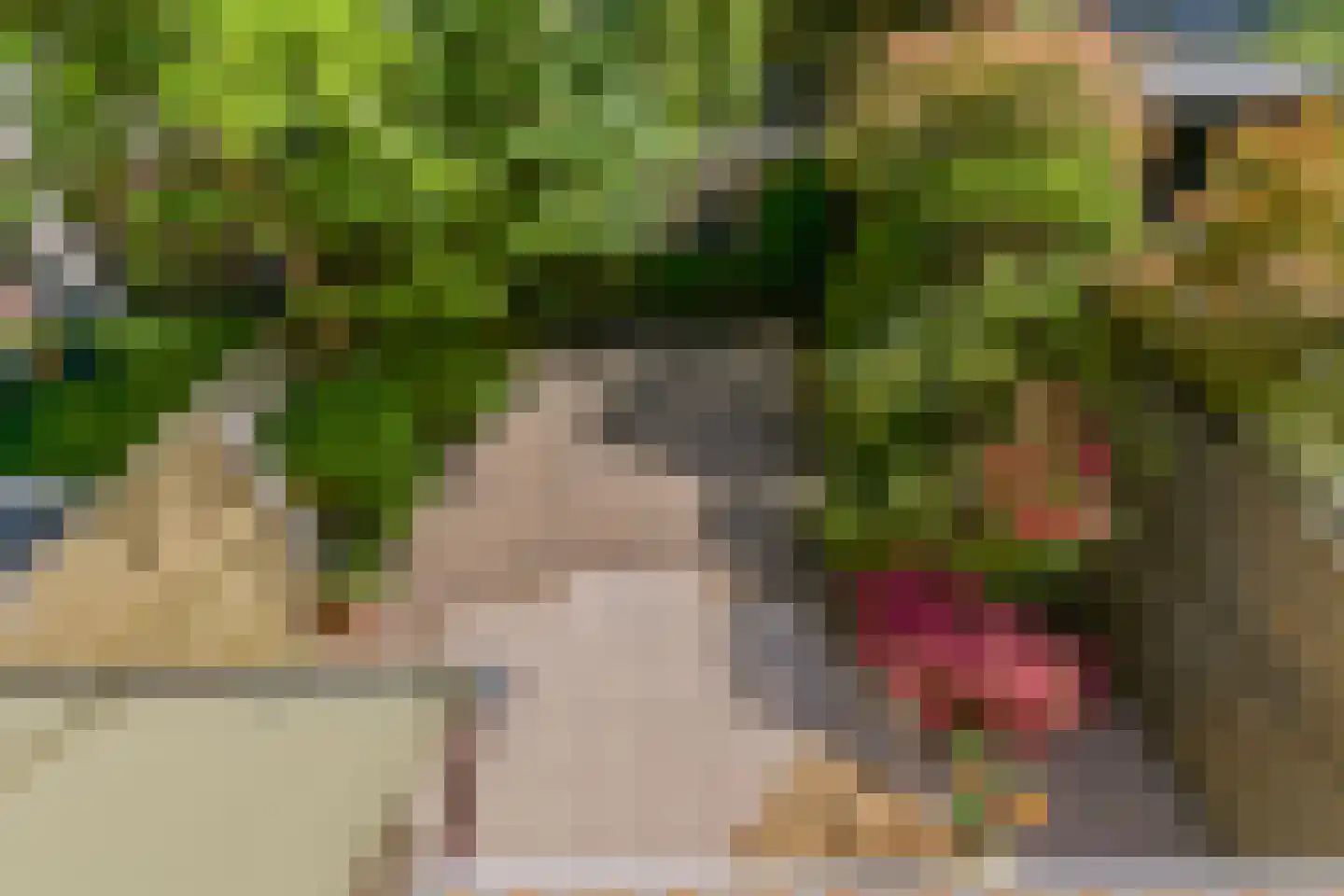 Laan van Meerdervoort 714 Den Haag thumbnail 42