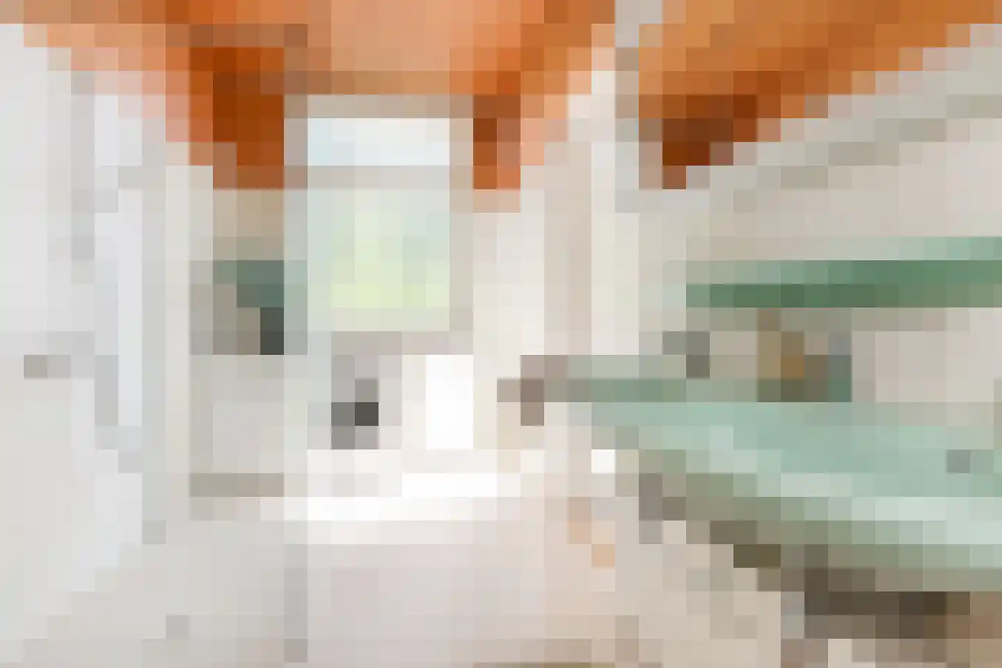 Laan van Meerdervoort 714 Den Haag thumbnail 46