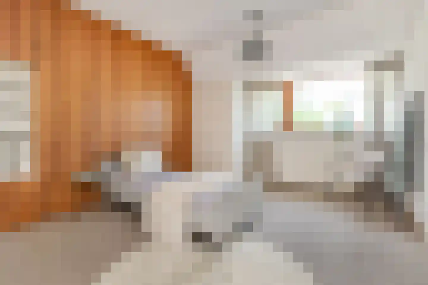Laan van Meerdervoort 714 Den Haag thumbnail 50