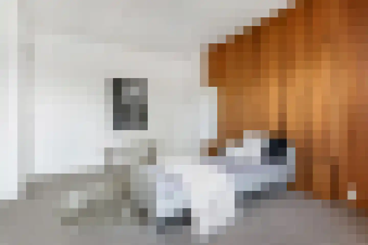 Laan van Meerdervoort 714 Den Haag thumbnail 52