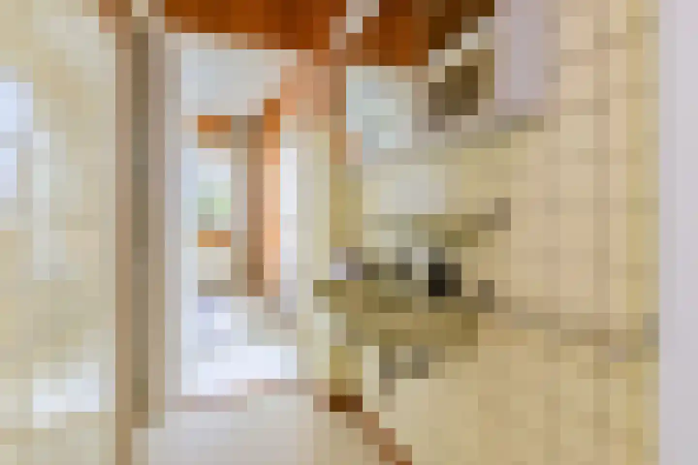 Laan van Meerdervoort 714 Den Haag thumbnail 59