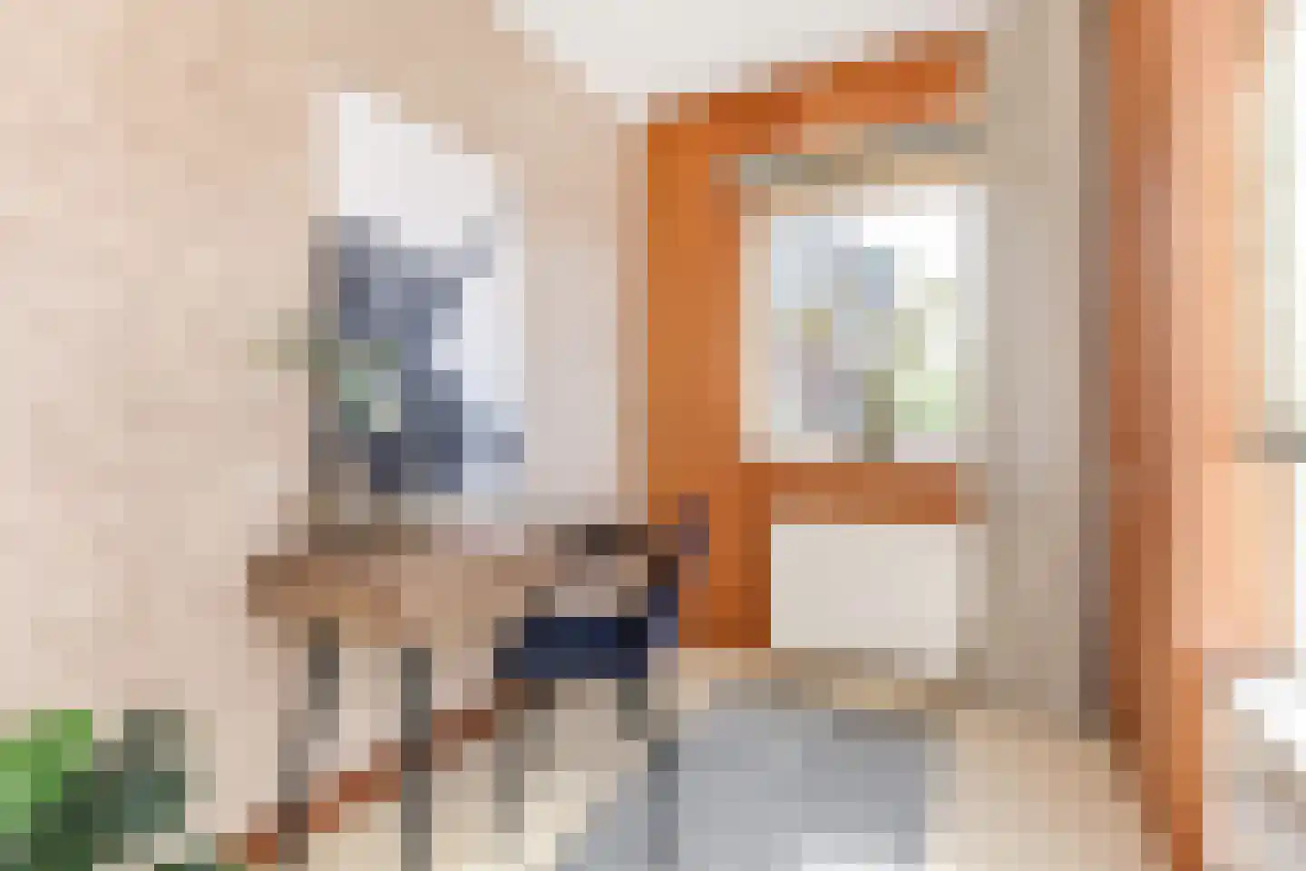 Laan van Meerdervoort 714 Den Haag thumbnail 60