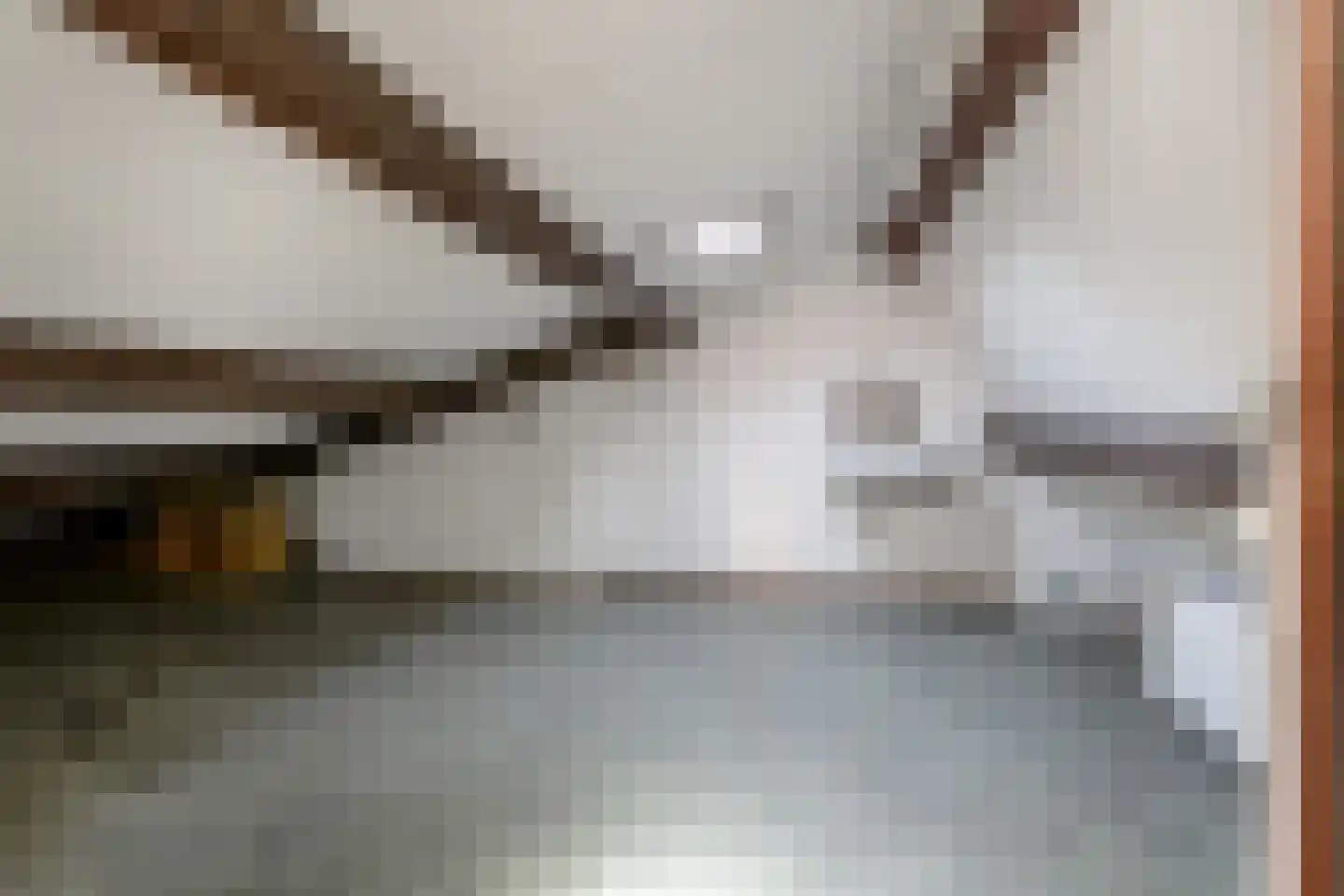 Laan van Meerdervoort 714 Den Haag thumbnail 64