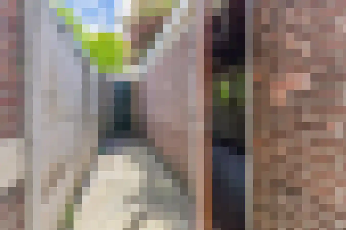 Laan van Meerdervoort 714 Den Haag thumbnail 68