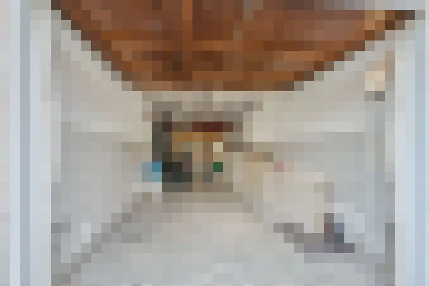 Laan van Meerdervoort 714 Den Haag thumbnail 71