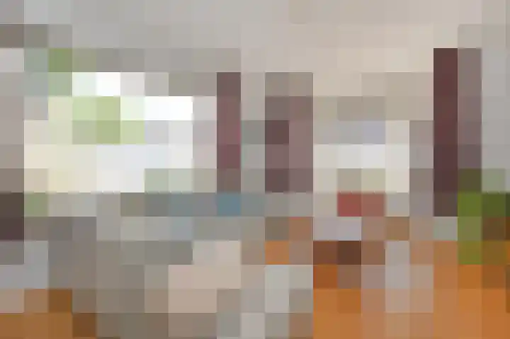 Laan van Meerdervoort 741 Den Haag thumbnail 10
