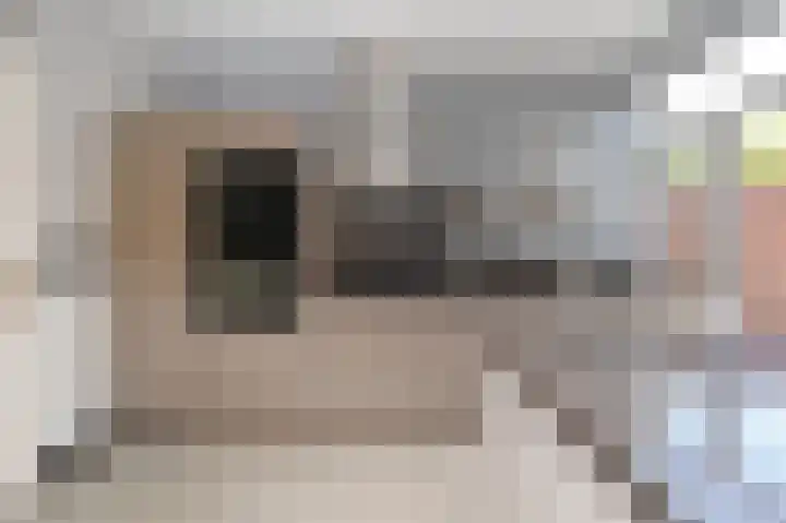 Laan van Meerdervoort 741 Den Haag thumbnail 24