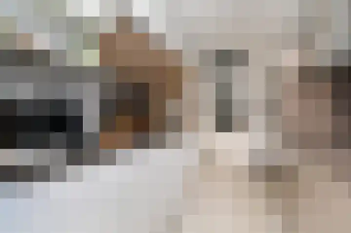Laan van Meerdervoort 741 Den Haag thumbnail 26