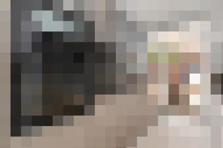 Laan van Meerdervoort 741 Den Haag thumbnail 27