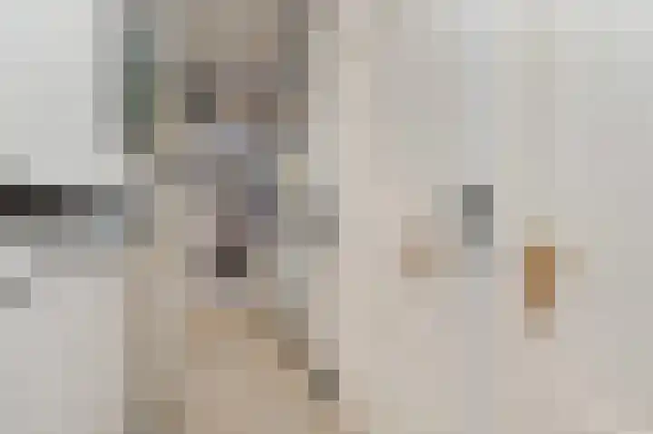 Laan van Meerdervoort 741 Den Haag thumbnail 28