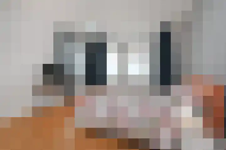 Laan van Meerdervoort 741 Den Haag thumbnail 38