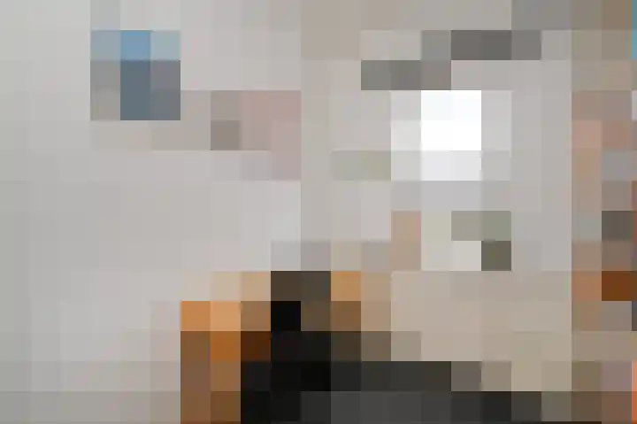 Laan van Meerdervoort 741 Den Haag thumbnail 43