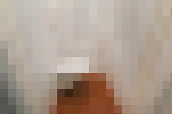 Laan van Meerdervoort 741 Den Haag thumbnail 44