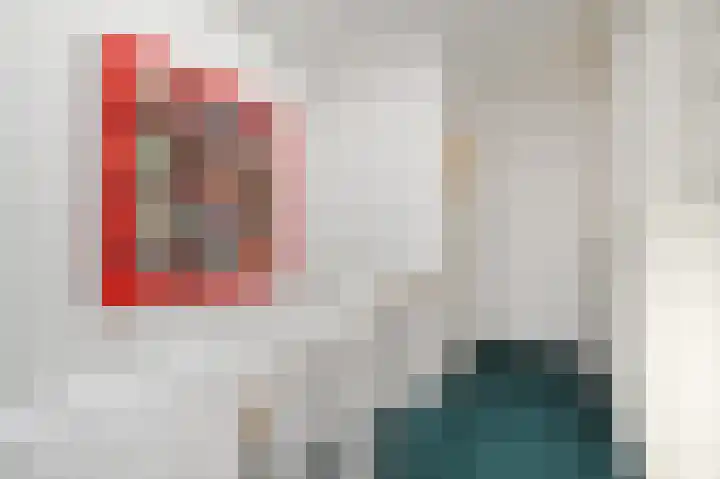Laan van Meerdervoort 741 Den Haag thumbnail 47