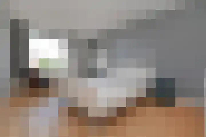 Laan van Meerdervoort 741 Den Haag thumbnail 49