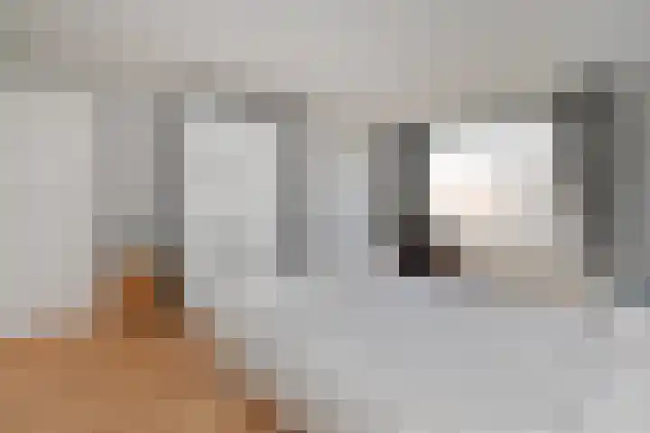 Laan van Meerdervoort 741 Den Haag thumbnail 50