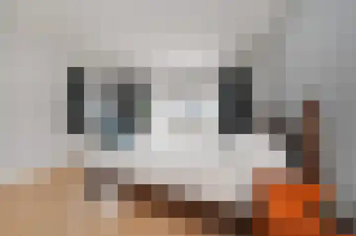 Laan van Meerdervoort 741 Den Haag thumbnail 52