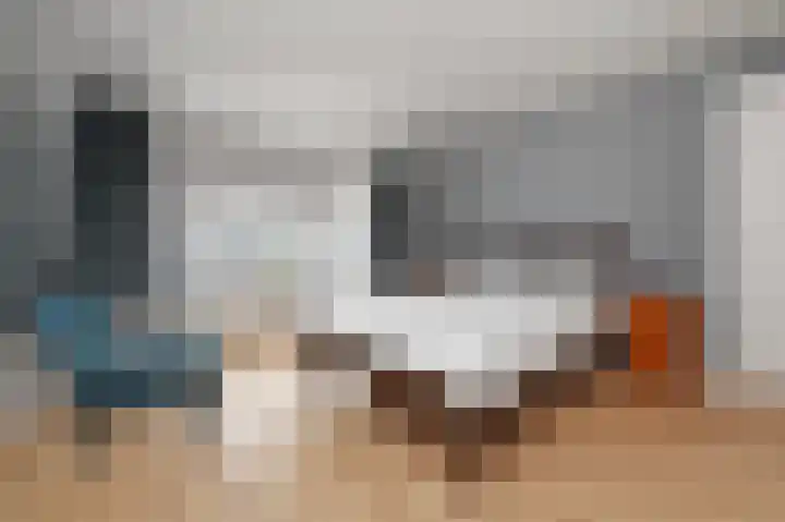 Laan van Meerdervoort 741 Den Haag thumbnail 53