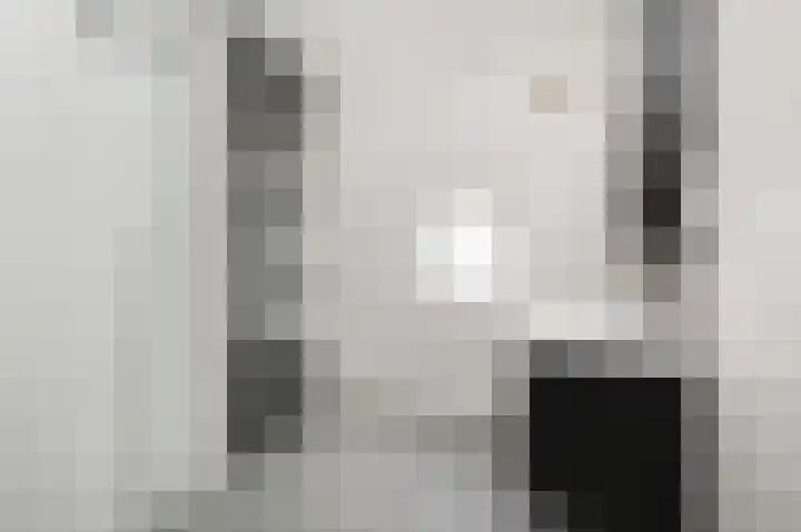Laan van Meerdervoort 741 Den Haag thumbnail 55