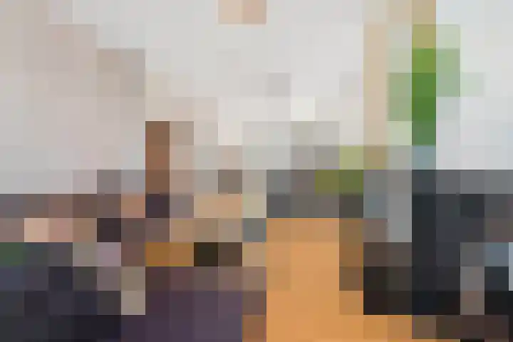 Laan van Meerdervoort 756 Den Haag thumbnail 12