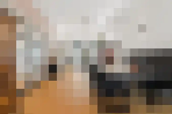 Laan van Meerdervoort 756 Den Haag thumbnail 14