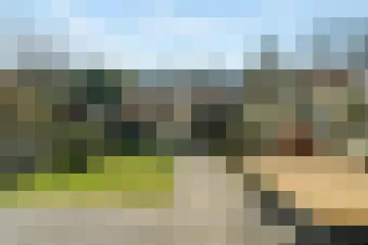 Laan van Meerdervoort 756 Den Haag thumbnail 22