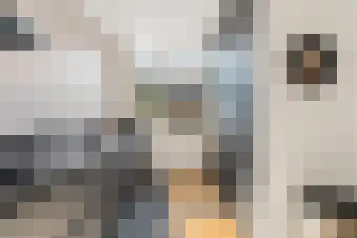 Laan van Meerdervoort 756 Den Haag thumbnail 30