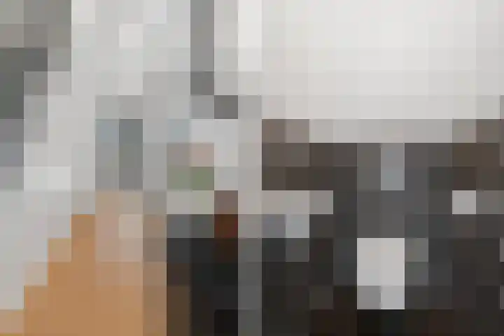 Laan van Meerdervoort 756 Den Haag thumbnail 33