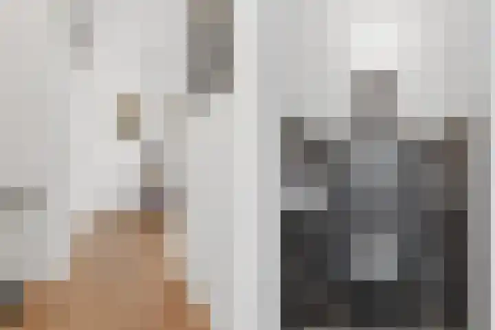 Laan van Meerdervoort 756 Den Haag thumbnail 41
