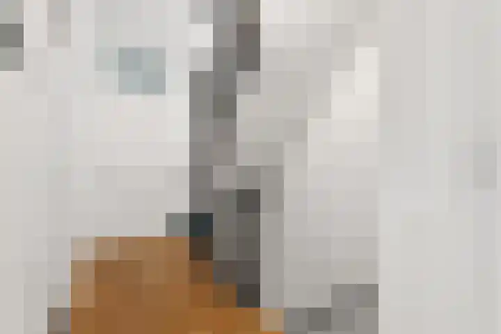 Laan van Meerdervoort 756 Den Haag thumbnail 42