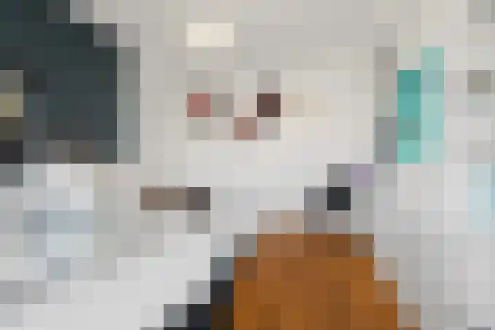 Laan van Meerdervoort 756 Den Haag thumbnail 46