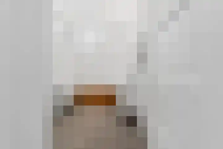 Laan van Meerdervoort 756 Den Haag thumbnail 49