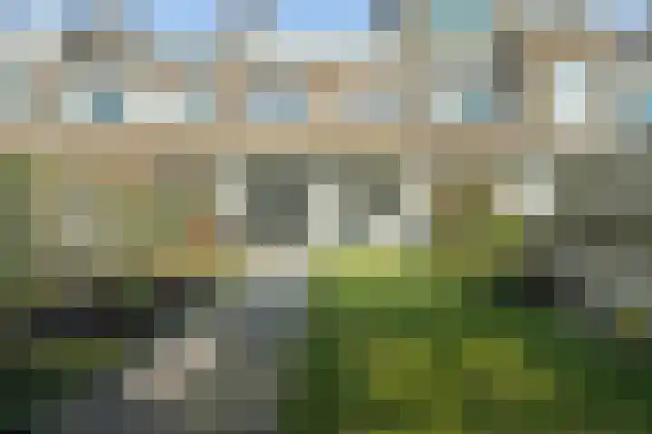 Laan van Meerdervoort 756 Den Haag thumbnail 5