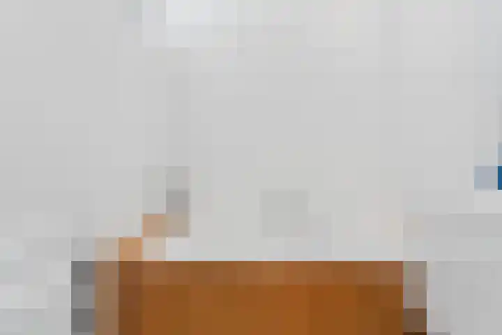 Laan van Meerdervoort 756 Den Haag thumbnail 50