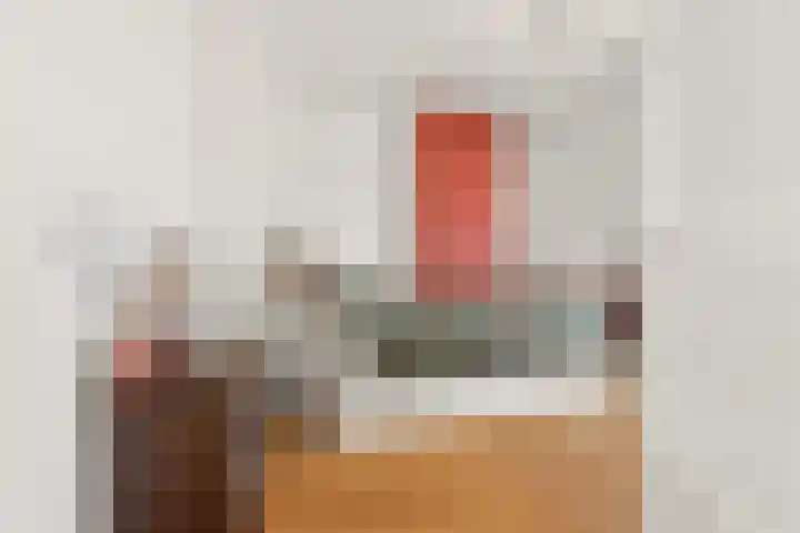 Laan van Meerdervoort 756 Den Haag thumbnail 54