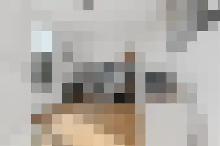 Laan van Meerdervoort 756 Den Haag thumbnail 58