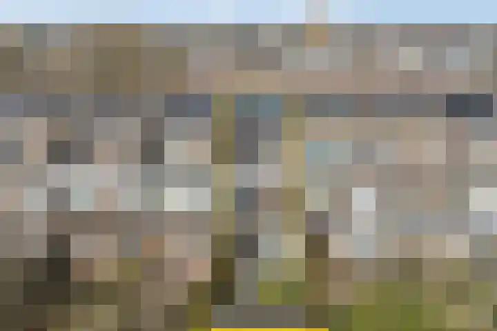 Laan van Meerdervoort 756 Den Haag thumbnail 64
