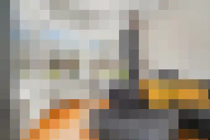 Laan van Meerdervoort 765 Den Haag thumbnail 10