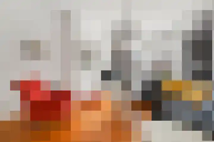 Laan van Meerdervoort 765 Den Haag thumbnail 11