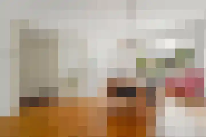 Laan van Meerdervoort 765 Den Haag thumbnail 13