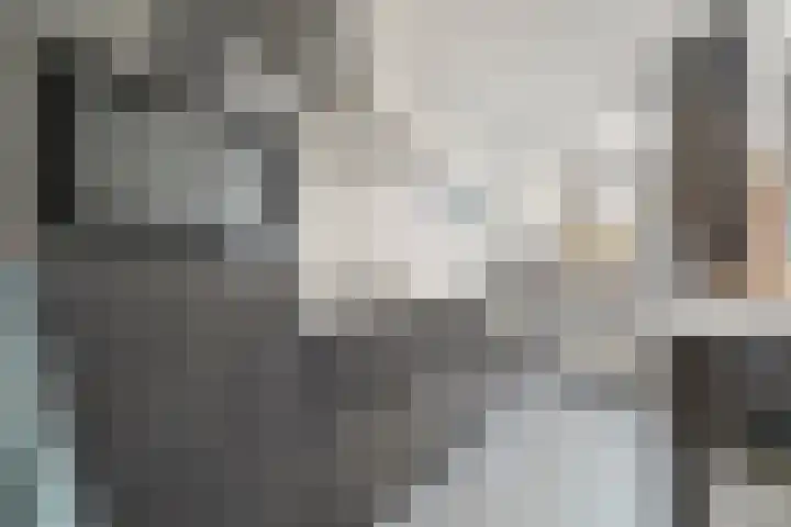 Laan van Meerdervoort 765 Den Haag thumbnail 15