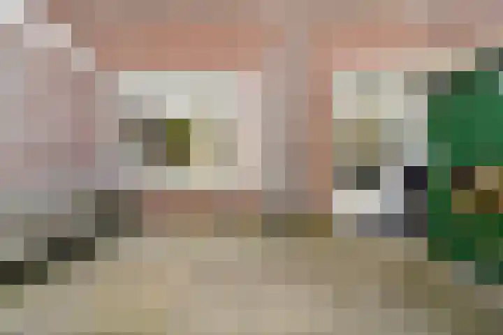 Laan van Meerdervoort 765 Den Haag thumbnail 17