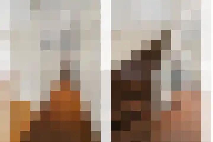 Laan van Meerdervoort 765 Den Haag thumbnail 22