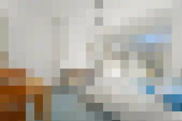 Laan van Meerdervoort 765 Den Haag thumbnail 23