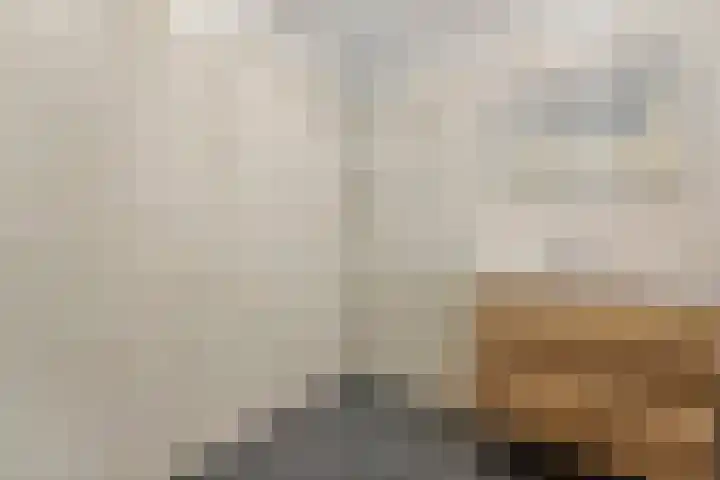 Laan van Meerdervoort 765 Den Haag thumbnail 32