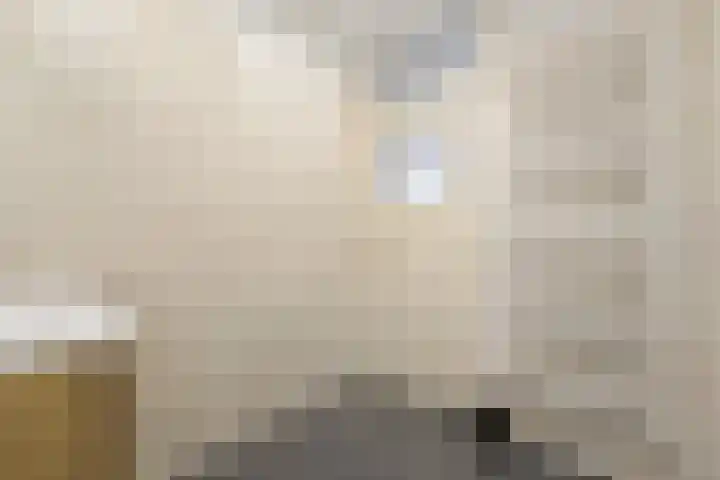 Laan van Meerdervoort 765 Den Haag thumbnail 33