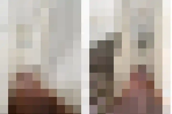 Laan van Meerdervoort 765 Den Haag thumbnail 34