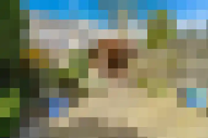 Laan van Meerdervoort 765 Den Haag thumbnail 4