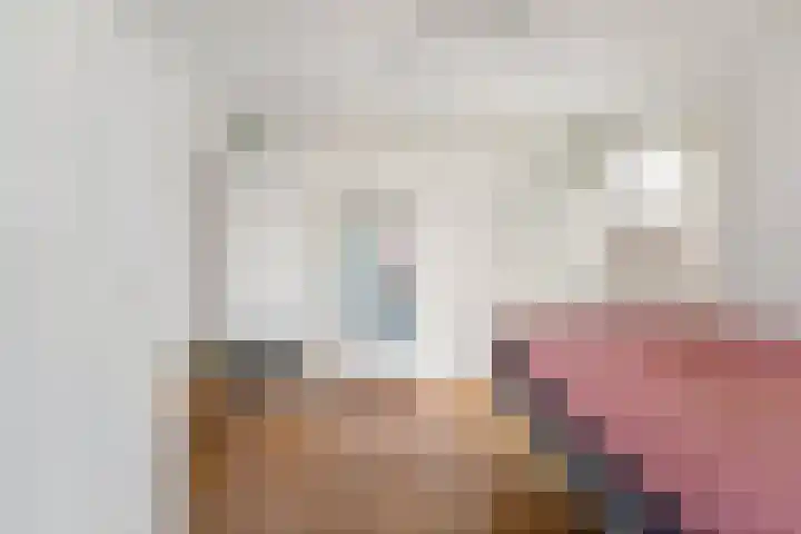 Laan van Meerdervoort 765 Den Haag thumbnail 40